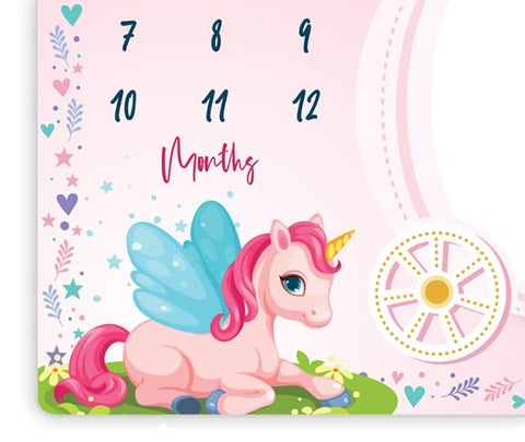 Baby Monthly Milestone Photoshoot Blanket Pink Unicorn