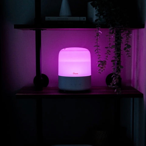 Crane 3 in 1 Cool Mist Humidifier, Aroma Diffuser & Sleep Support Light – 1.9L