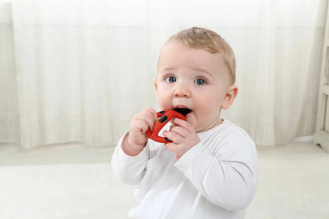 Mombella Stage 1 Baby Teething Toothbrush – Ladybug