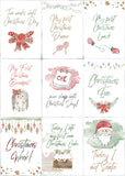 Baby’s First Christmas Milestone Cards