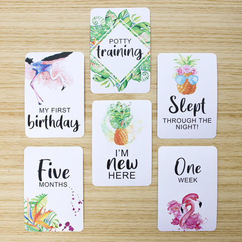 Pineapple & Flamingos Baby Milestone Cards