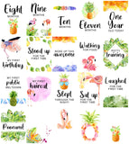 Pineapple & Flamingos Baby Milestone Cards