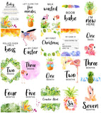 Pineapple & Flamingos Baby Milestone Cards