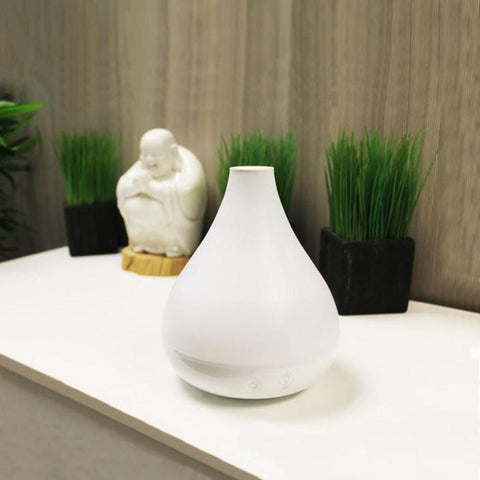 Cool Mist Humidifier + Aroma Diffuser
